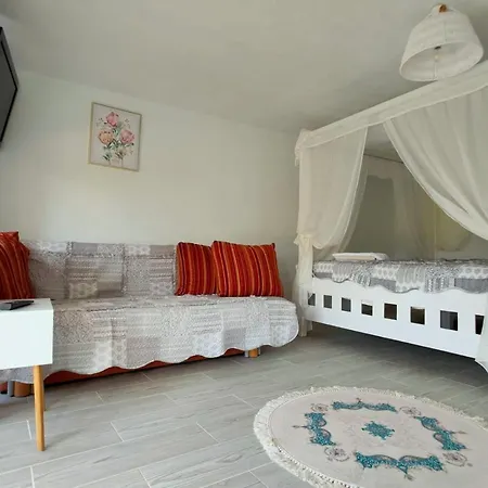 Casutele Verzi Din Campingplads Ocnele Mari