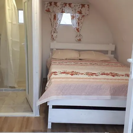 Casutele Verzi Din Campingplads *