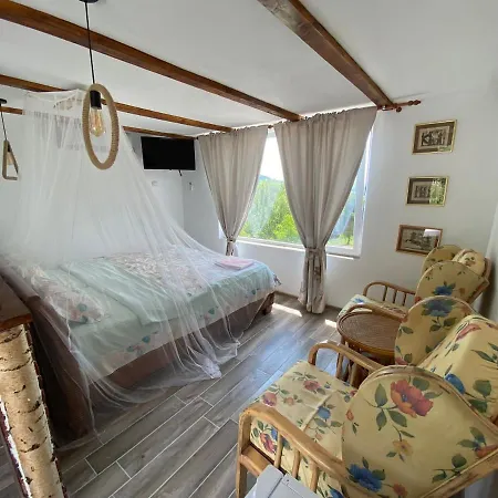 Casutele Verzi Din Campingplads