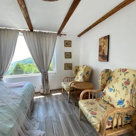 Casutele Verzi Din Campingplads Ocnele Mari