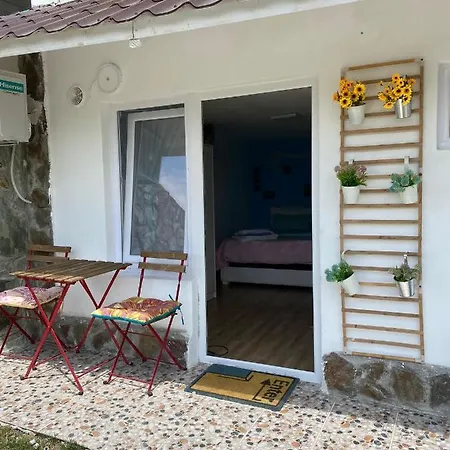 Casutele Verzi Din Ocnele Mari