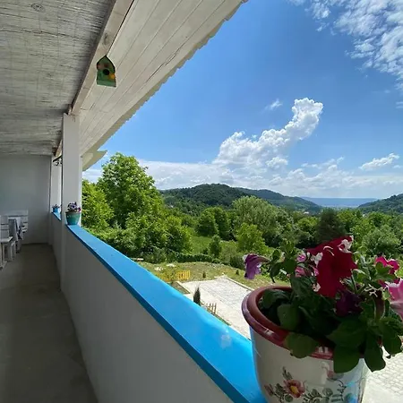 Casutele Verzi Din Ocnele Mari