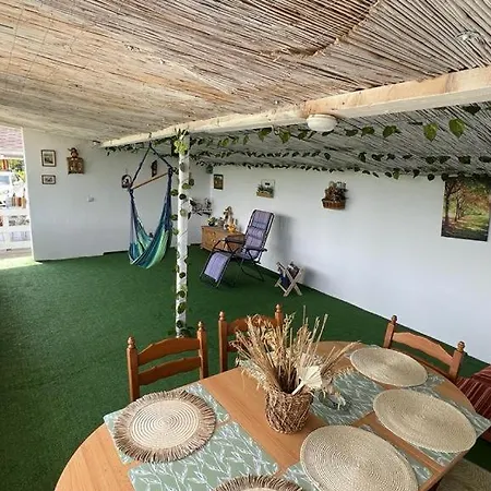 Casutele Verzi Din Campingplads *